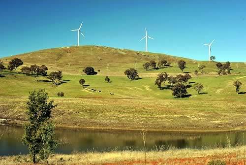 TALL STORY: The 43 turbines proposed for Flyers Creek would be almost twice as high as those at the Carcoar wind farm (pictured) and more than 10 metres taller than the Sydney Harbour Bridge.