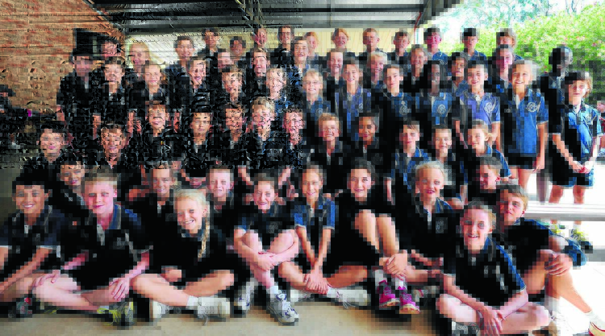 NUMBERS GAME: St Mary's Primary School will have 12 teams running in tomorrow's Orange Colour City Running Festival five kilometre schools event. 												     Photo: STEVE GOSCH 0222sgstmarys