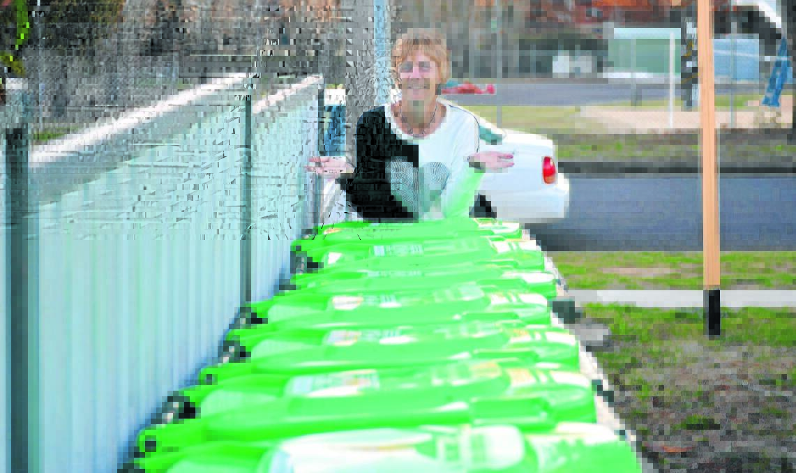 DUMP IT: Vicki Garrood can’t work out how her mother’s 16 unit block in Warrendine Street has six red bins, six yellow bins but 16 green bins, all of which, when on the street make it impossible to drive through.  Photo: NICOLE KUTER 0703nkbin