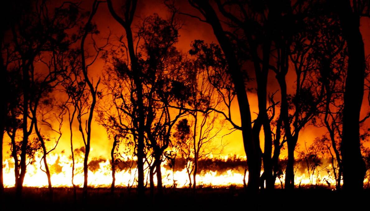Scary sight: A solid fuel fire ban is in place at the Ophir Reserve in order to avoid bushfire.