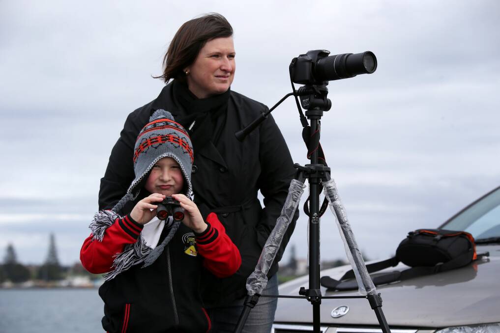 Jordie Edwards, 7 of Hamilton, looks as his mum Lindelle Baugh points out whales in the water at Portland. 