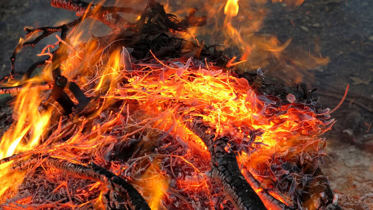 Barbeque safety warning for Australia Day as burns reach five year high