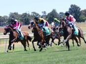 FUN TIMES: Dubbo Turf Club are excited to host punters and their families this weekend as the track hosts an Easter Sunday meeting. Picture: AMY MCINTYRE