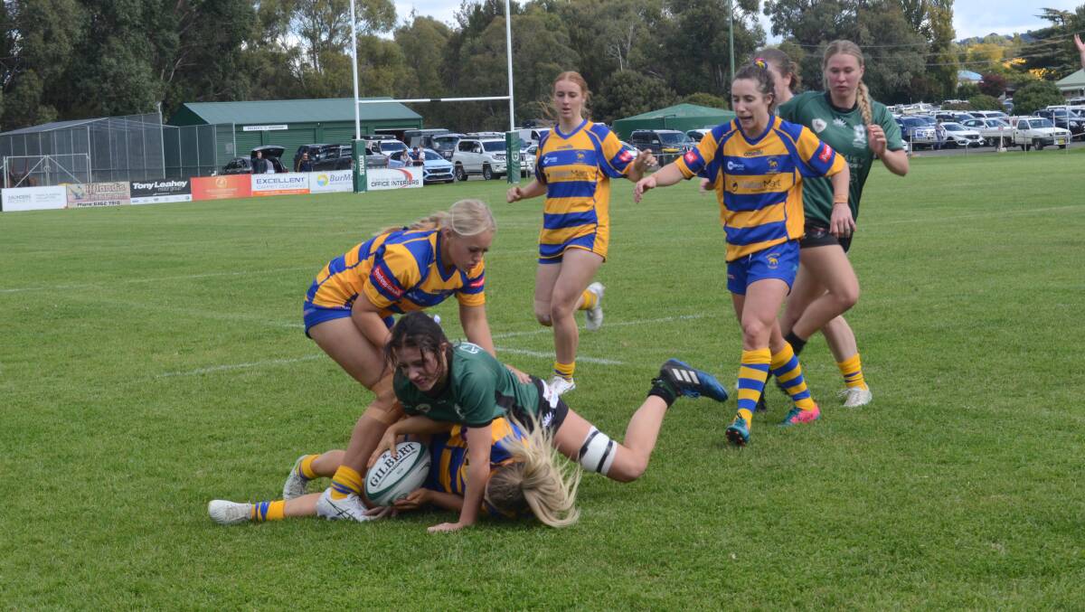 Emus and Bulldogs clash in their round one match-up at Endevaour Oval. Picture by Dominic Unwin