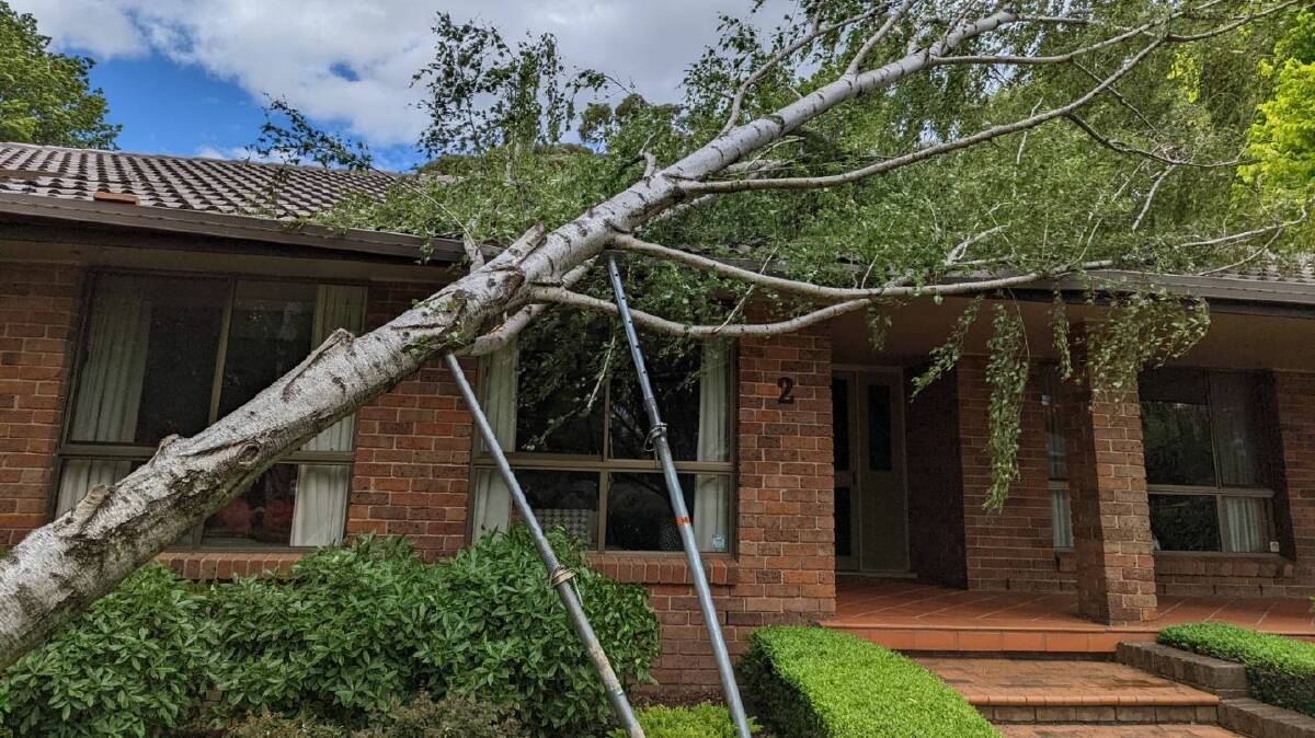 HOUSE DAMAGE: SES crews were working on Sunday afternoon to remove this fallen tree from a west Orange home. Photo contributed