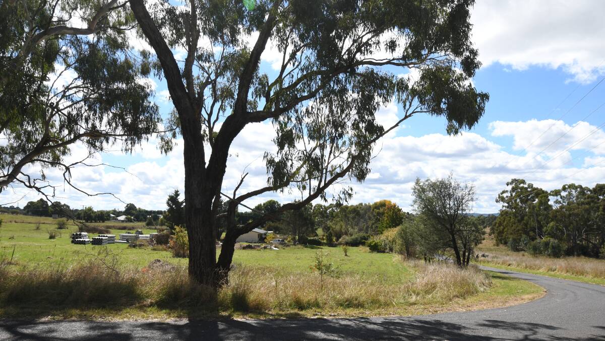 INCREASE IN LOTS: Land fronting Rifle Range Road is part of a plan for 85 lots. Photo CARLA FREEDMAN