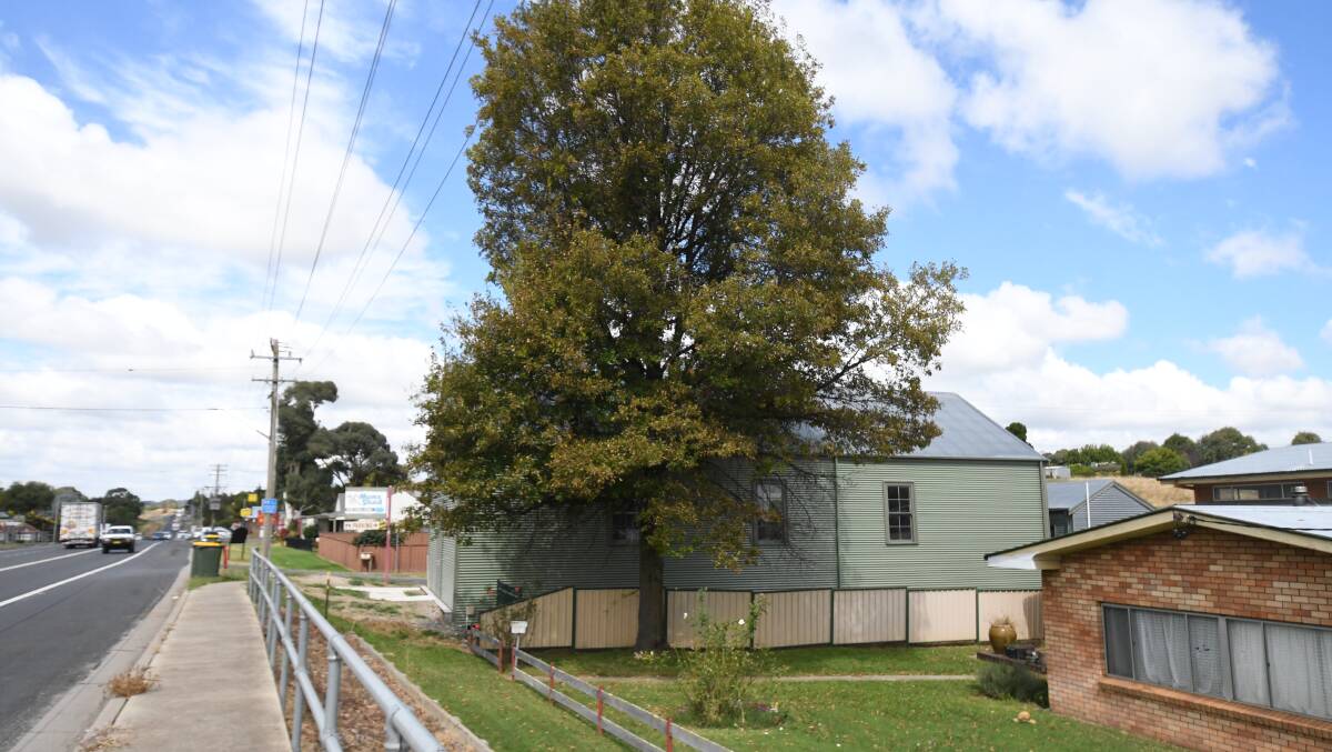 SHAKY GROUND: The mature pin oak in Lucknow. Owners of the property have applied to Orange City Council to cut the tree down. Photo JUDE KEOGH