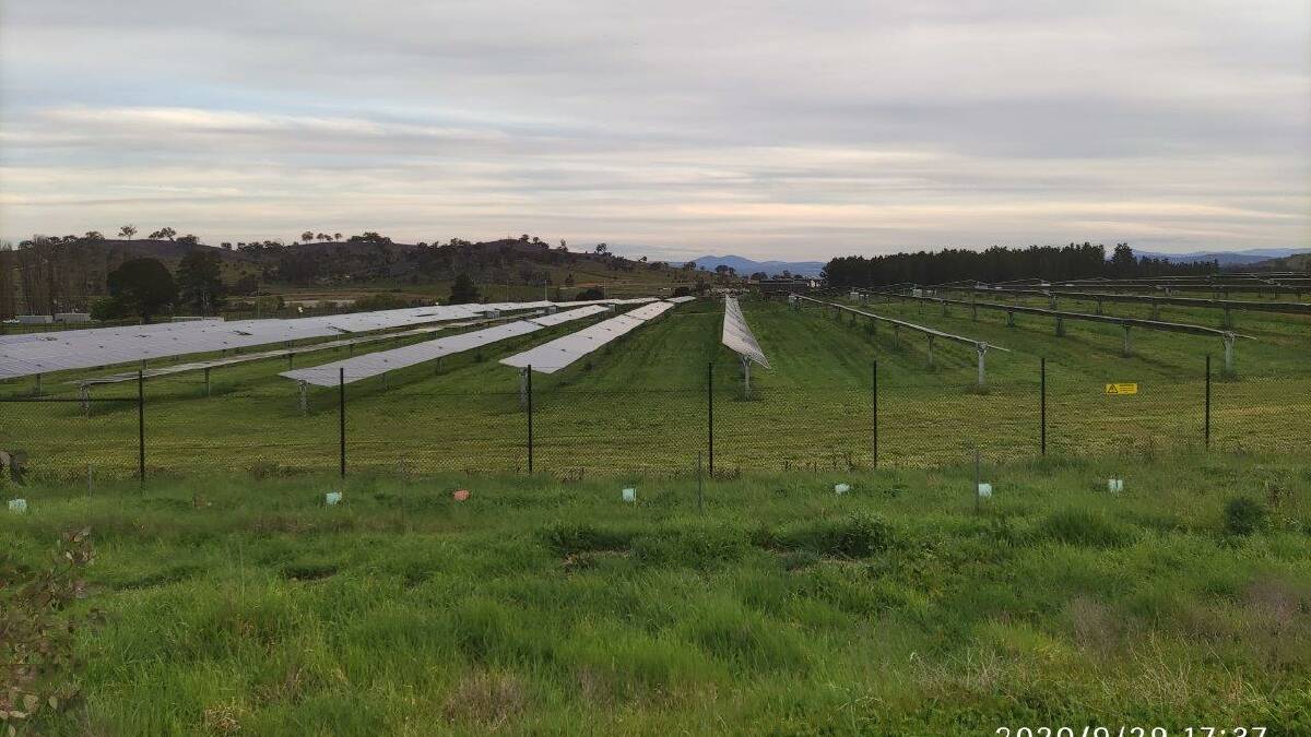 SUN SEEKING: A solar farm similar to the planned installation on Orange's outskirts. Photo contributed