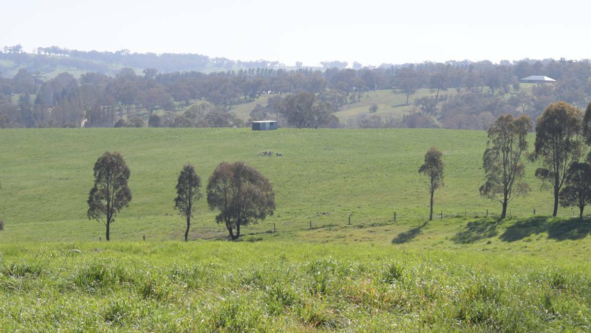 SITE: A solar farm is to be built on this land north of Orange. Photo: JUDE KEOGH