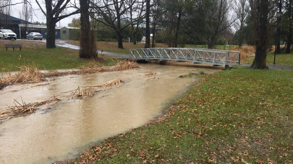 Blackman's Swamp Creek, which flows into Summer Hill Creek, on National Avenue yesterday at 1pm. Photo STEVE JACKSON