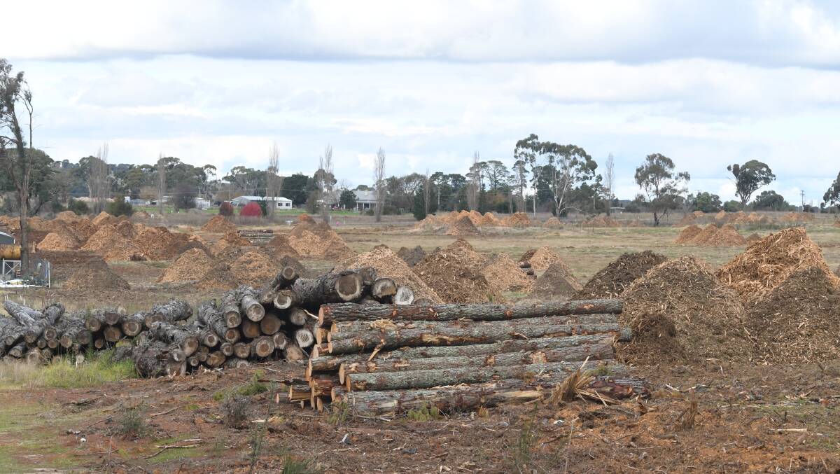LOG GONE: More than 650 pine logs have been sent for processing while smaller debris has been mulched for landscaping at the sports precinct site. Photo CARLA FREEDMAN