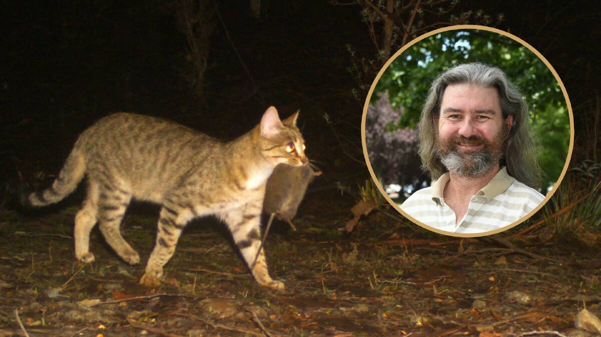 WILD AND DOMESTIC AT THE SAME TIME: Cr David Mallard wants Orange City Council to push LGNSW towards lobbying for better cat containment policy to curb their impact on wildlife.