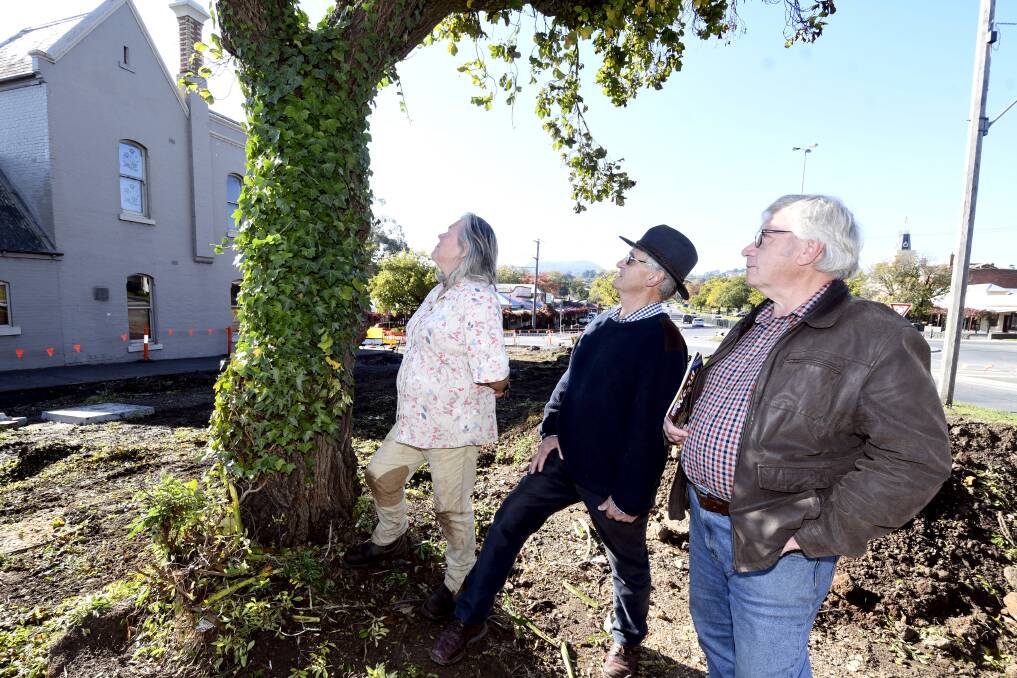 Heart-broken: (L-R) Friends of Buninyong Botantic Gardens Lorraine Powell, Buninyong resident Richard Patterson and artisan timber specialist Paul Ryle next to the neighbouring heritage listed Exeter Elm. Photo: Lachlan Bence