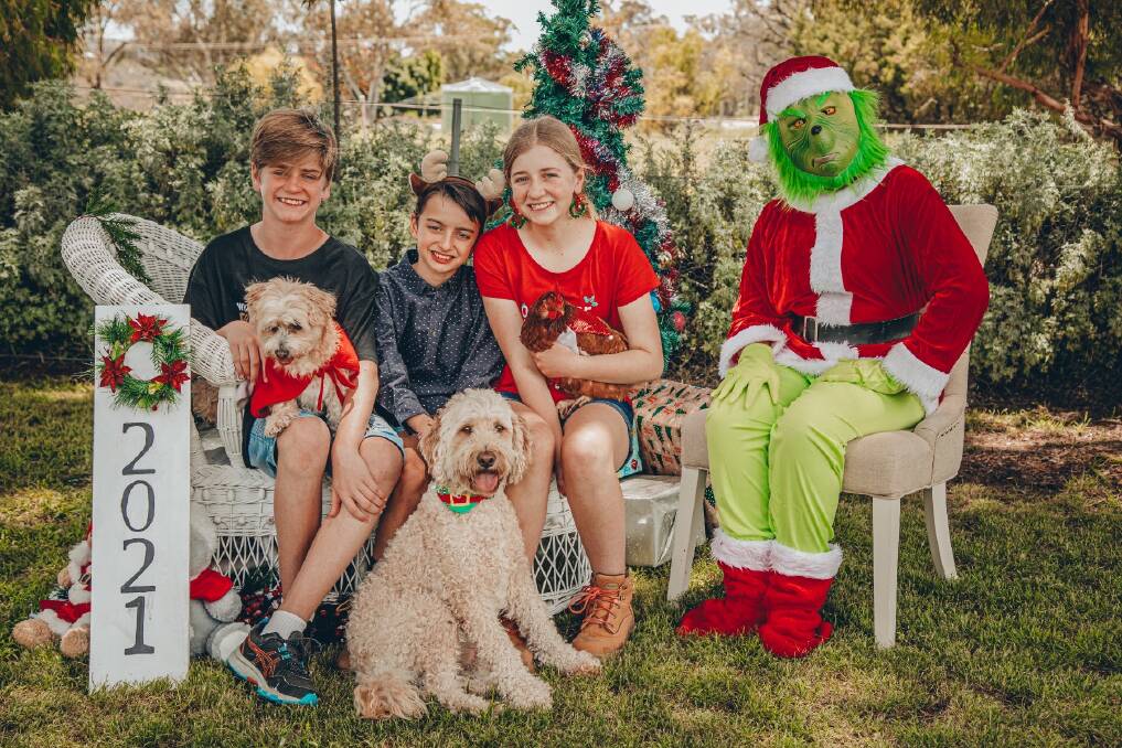 NO SANTA: Will and Hugo Nancarrow, Cooper and Toby Gobourg with Imogen Nancarrow, 'Gary' the hen and one not-with-Santa Christmas picture. Photo: TRACEY HARVEY PHOTOGRAPHY: