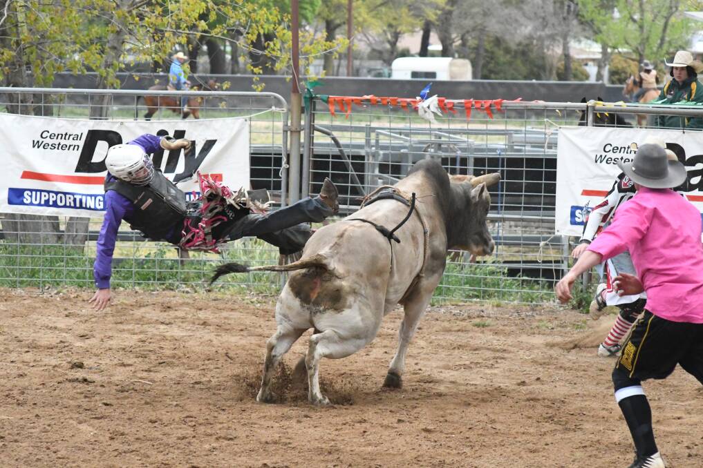 ORANGE SHOW 2022: Thousands of people from Orange attended the East to West Coast Rodeo Championships in 2019, proving the city's high attraction to the bucking sport which will return with John Gill and Sons Rodeo Contractors in May. Photo: JUDE KEOGH.