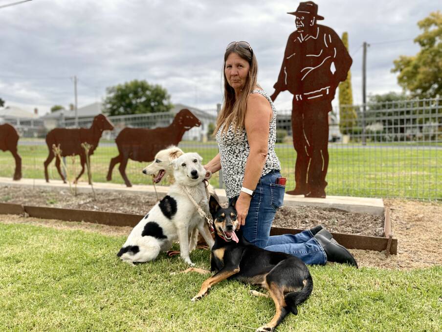 DOGPRO PLUS: Coshie's Dodge and 2015 state champion, Hudson's Kate with their current owner and secretary of Molong Sheep Dog Workers Committee, Janelle Fessey with her daughter's kelpie, Peggy. Photo: EMILY GOBOURG.