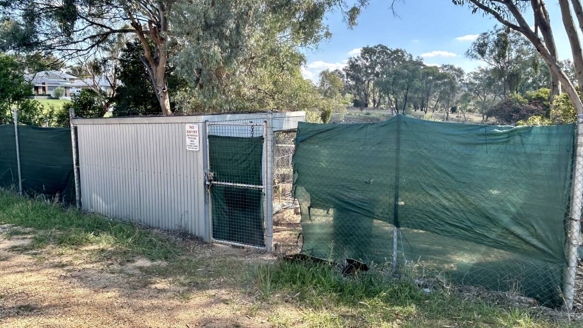The animal-holding facility or 'pound' on Phillip Street in Molong. Picture by Emily Gobourg.
