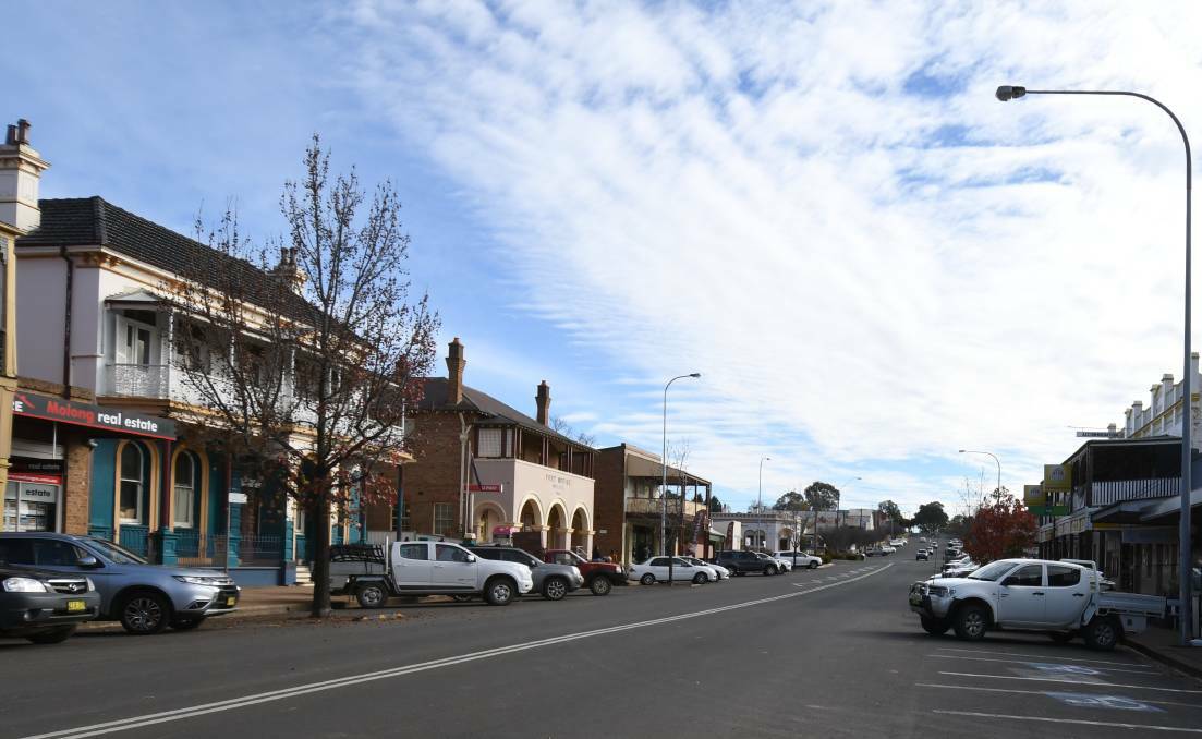 ANTI-TREES: Almost 200 signatures along with six letters of support were sent to Cabonne Council in the form of a petition; objecting against the planting of new trees in Molong's Bank Street. Photo: FILE.