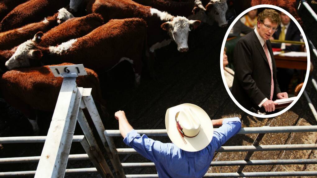 DISEASE ALERT: Andrew Gee says the federal government needs to 'get cracking' before the 'very real risk' of the cattle disease reaches Central West produce. Photo: FILE/CANVA.