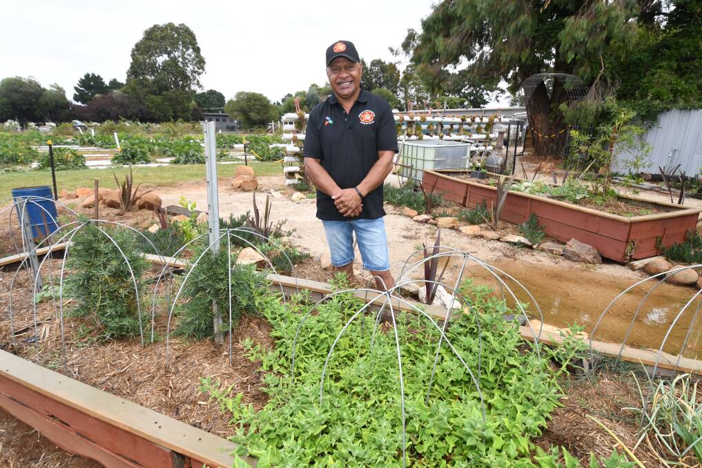 GROWTH: Gerald Power gets ready to launch the Marang Indigenous Edible Garden at OCTEC's Huntley Berry Farm this Saturday - bringing people '50,000 years of cuisine with a twist'. Photo: JUDE KEOGH.