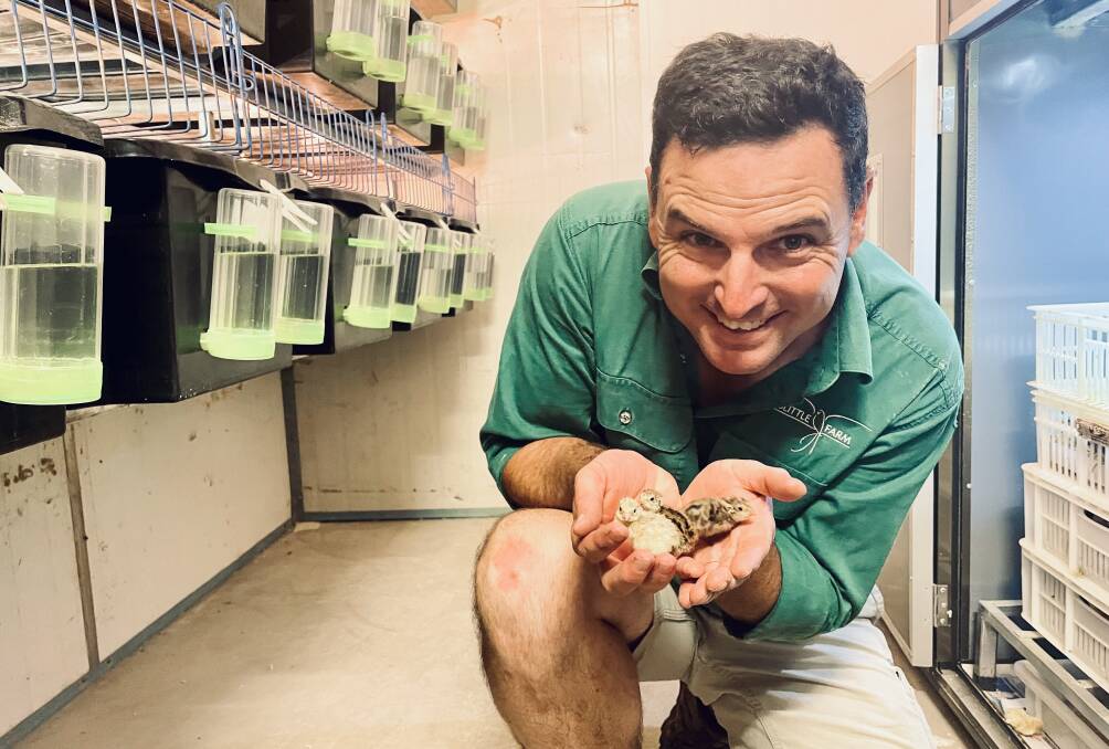 INUNDATED WITH ORDERS: DoLittle Farm's owner and manager, Steve Leisk is on the hunt for an intake of junior workers, and a quail technician, in order to keep up with the huge increase in demand for reptile feed across Australia. Photo: EMILY GOBOURG.