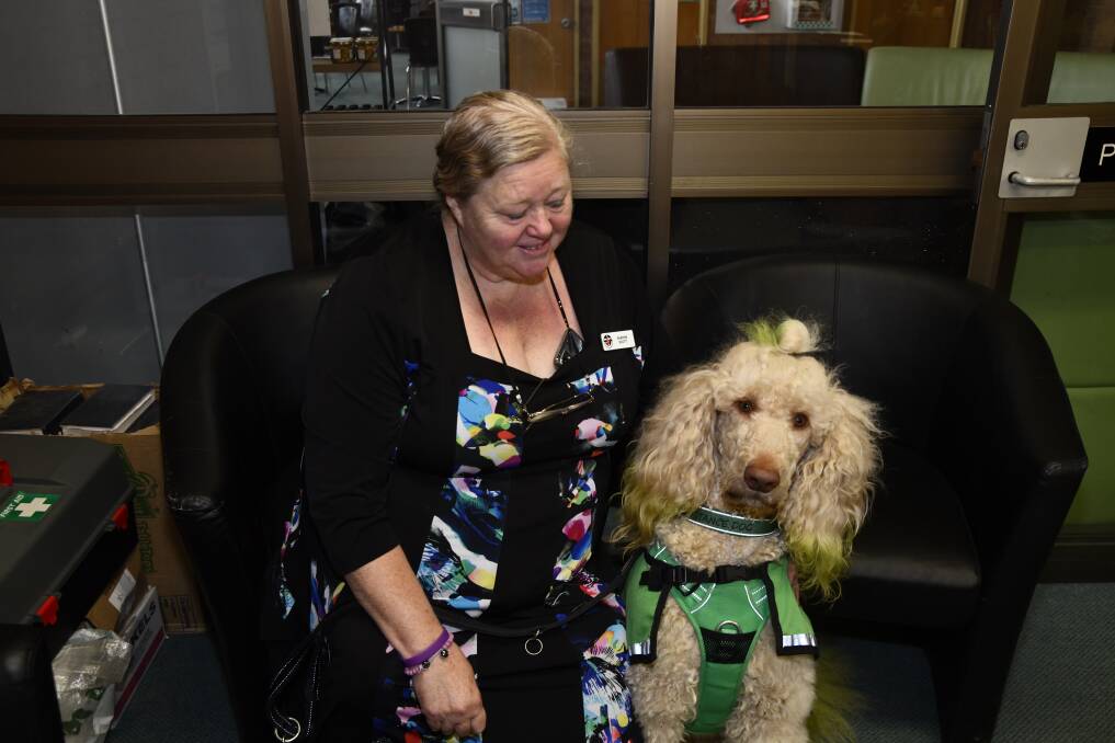 Sharon Scott with her life-saving medical assistance dog, Elliott the standard poodle with the Paws for Diabetics program. Picture by Carla Freedman. 