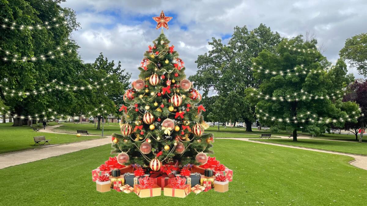 Orange's giant new Christmas tree looks set to be installed in Robertson Park.
