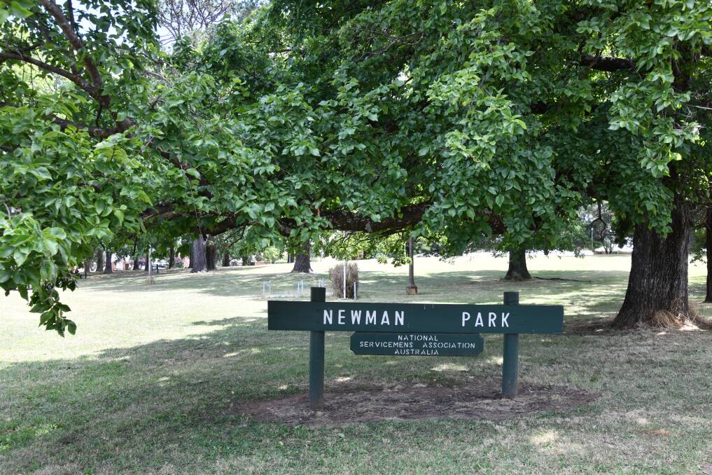 Newman Park at 197 March Street, Orange. Picture by Carla Freedman. 