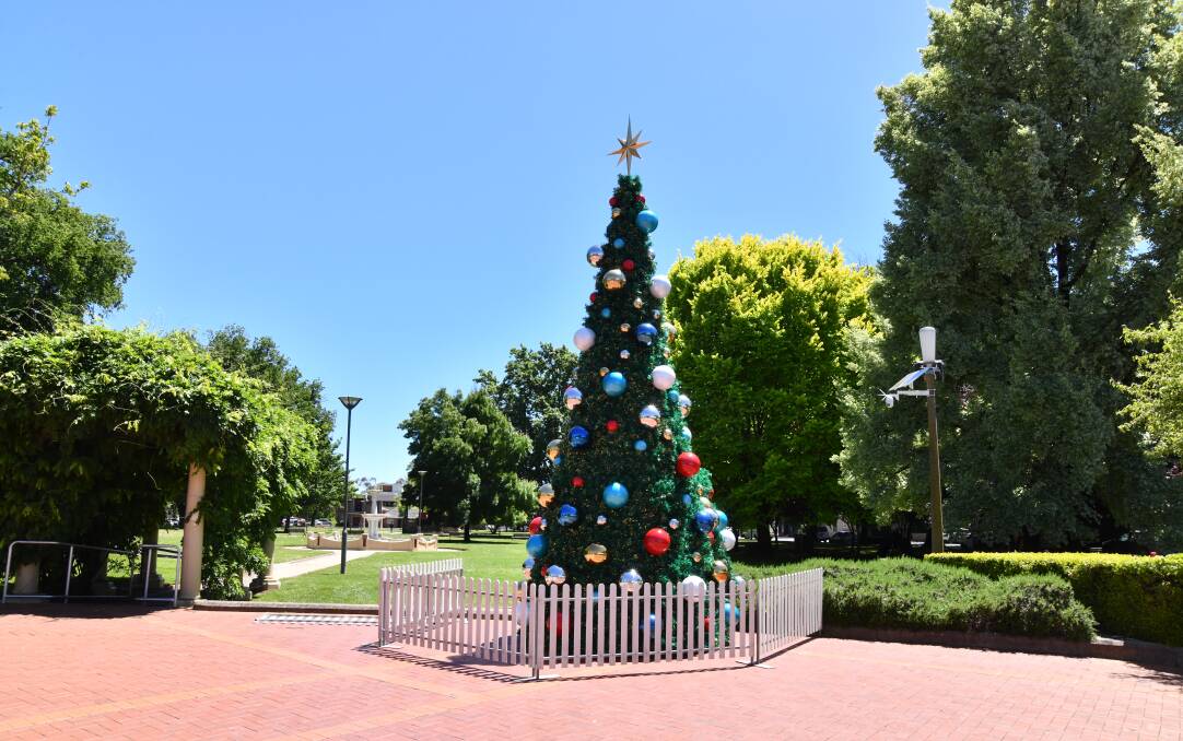 The six-metre Christmas tree was installed in front of Robertson Park, Orange on Thursday by Orange City Council. Picture by Carla Freedman. 