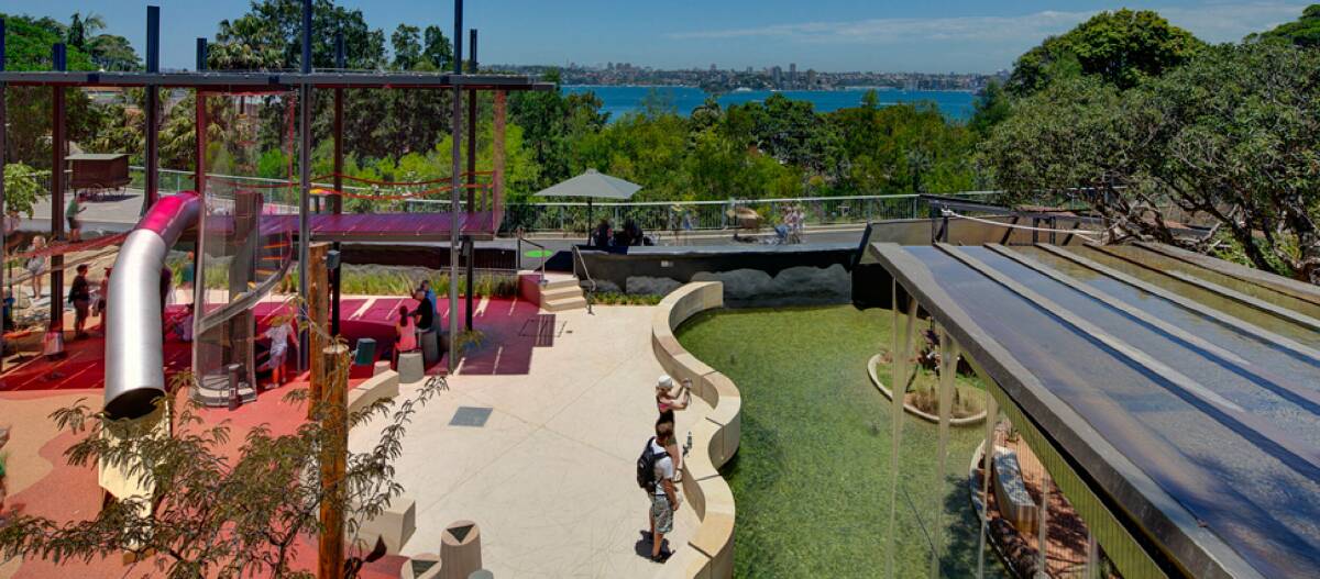 Best playgrounds in Australia: Forest Adventure. Taronga Zoo, NSW. Picture supplied. 