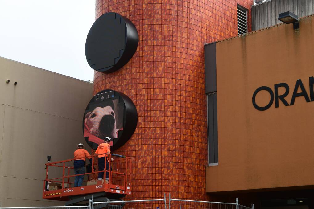 Giant bee clock under construction in Orange. Picture by Jude Keogh
