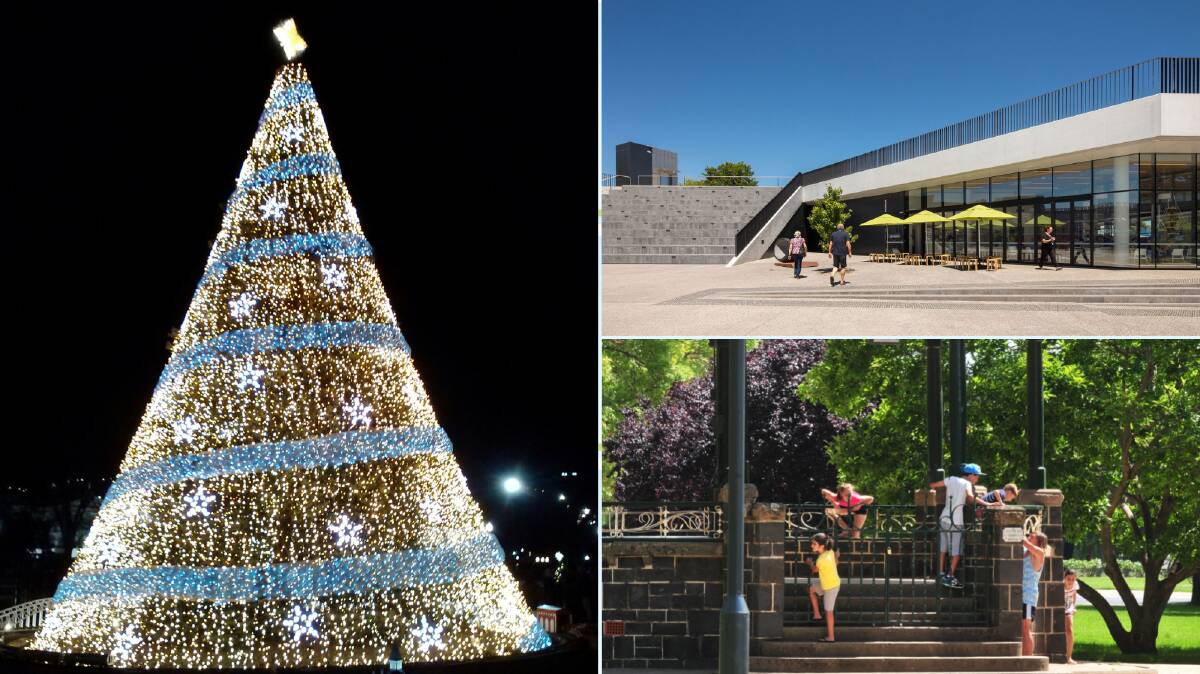A $40,000 six-metre-tall Christmas tree has been bought by Orange. Residents will be allowed to vote on where it should go: The Civic Forecourt or Robertson Park. 