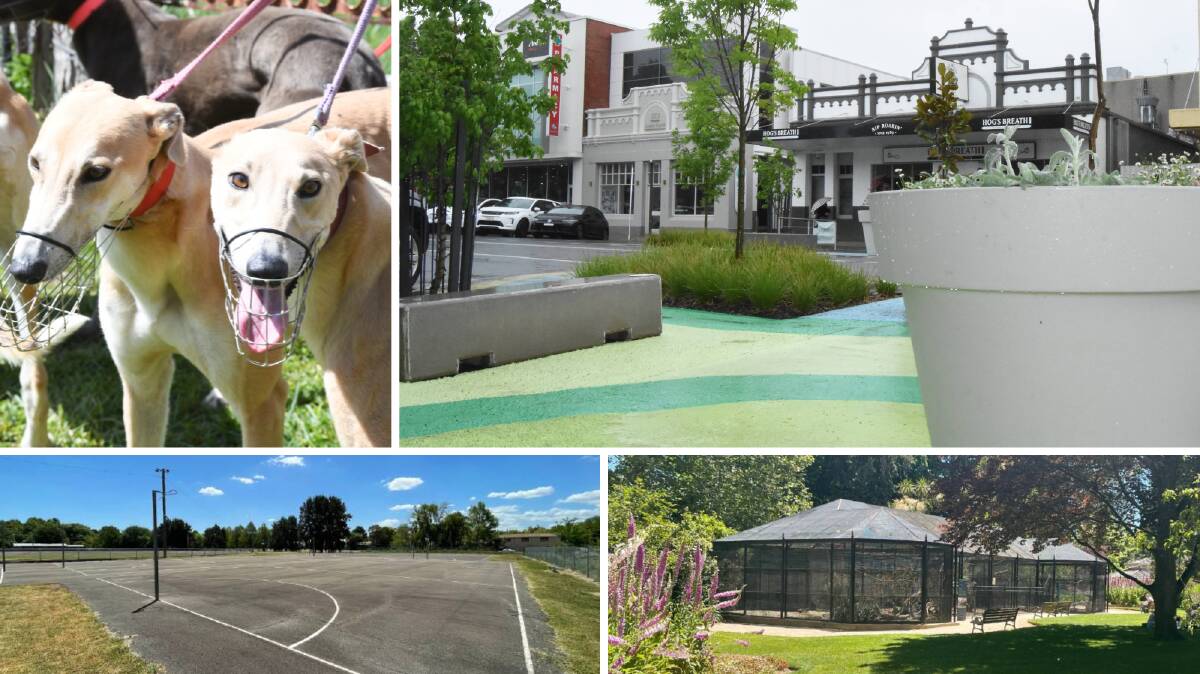 Lords Place, greyhound track, aviary, parkour and more at Orange City Council. File pictures 