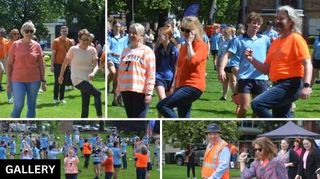 Nutbush at Robertson Park for 16 Days of Activism Against Gender-based Violence in Orange. Pictures by Dom Unwin 
