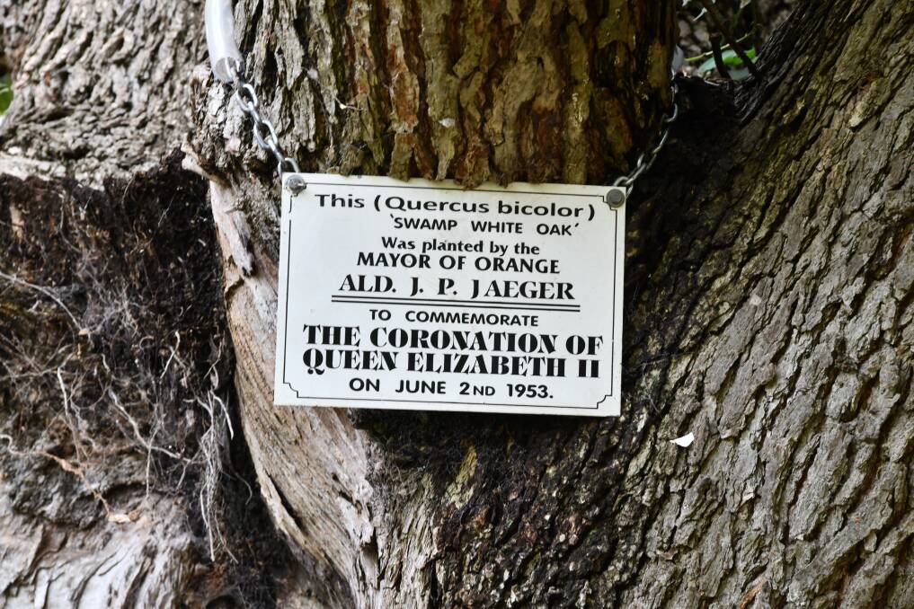 Queen Elizabeth II Coronation Tree Plaque at Robertson Park, Orange. Picture by Carla Freedman. 