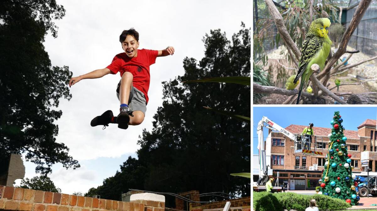 Parkour, giant aviary and everything else at Orange City Council. File pictures and supplied 