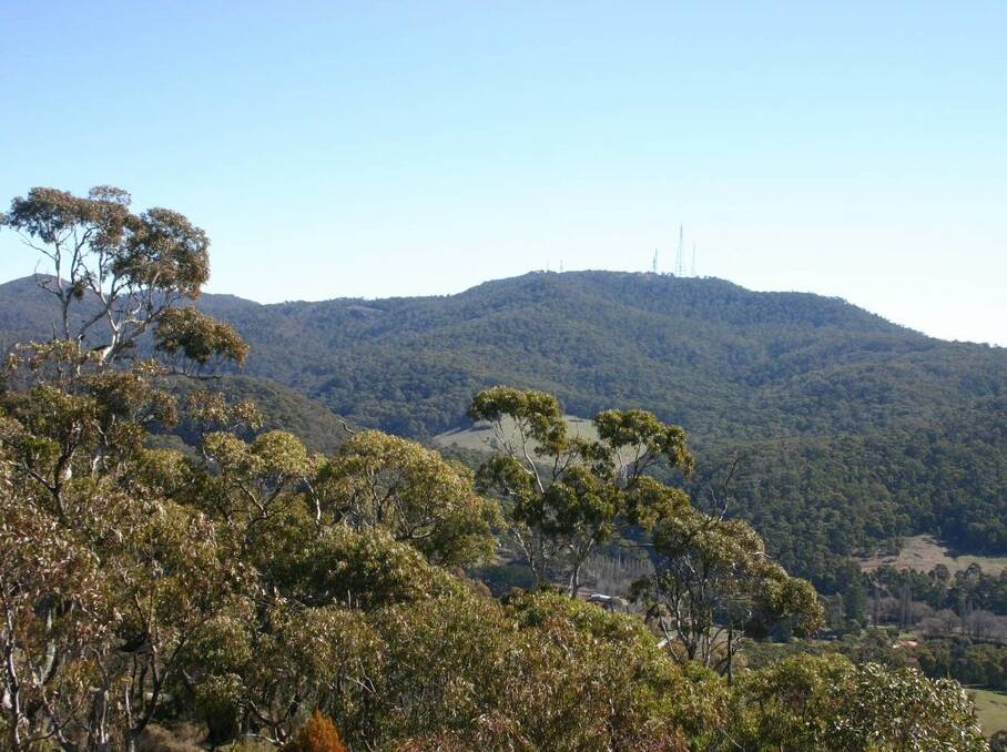 The Gaanha-bula Mount Canobolas state conservation area SCA near Orange, NSW. 