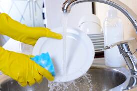 CHOICE experts find the best dishwashing liquids are also budget friendly. Picture by Shutterstock