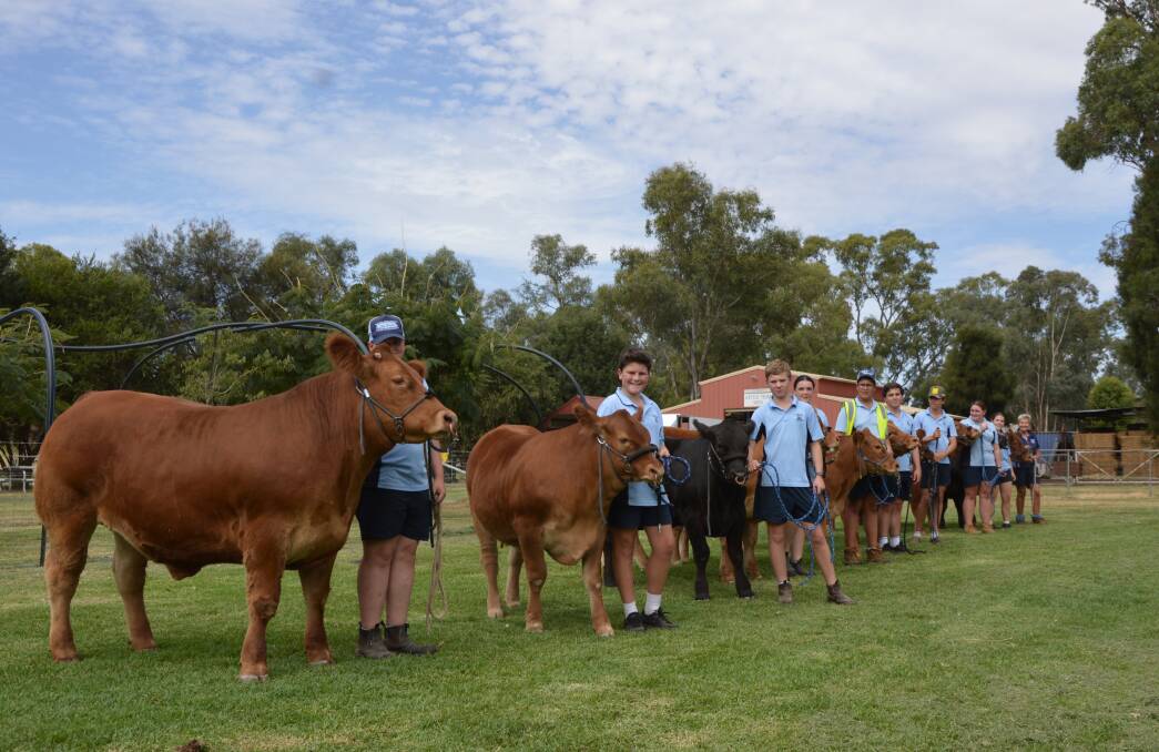 Red Bend Catholic College Cattle Team at Sydney Royal Show Central