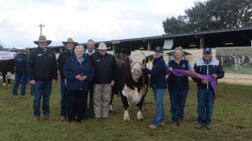The $120,000 record-top priced bull with buyers Stephen Peake, Bowen stud, Barraba, and David and Olwyn (front) Lyons, Melville Park stud, Vasey, Vic, Nutrien representatives Howard Carter and John Settree, and vendors Emma, Del and Greg Rees of The Ranch Poll Herefords, Tomingley. Photo: Kate Loudon 