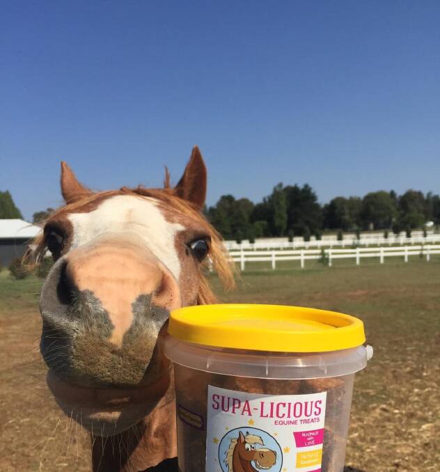 GOOD TREATS: Horse owners love to spoil their horses with treats and Supa-licious make healthy treats that all horses love.