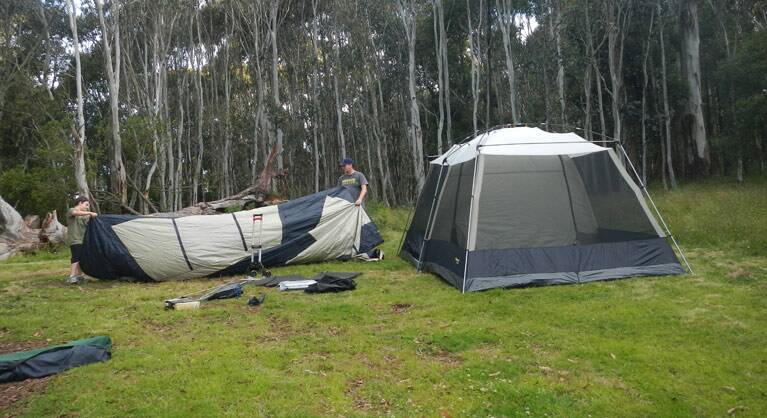 Tents in Federal Falls campground. Photo: Debby McGerty/NSW National Parks and Wildlife Service