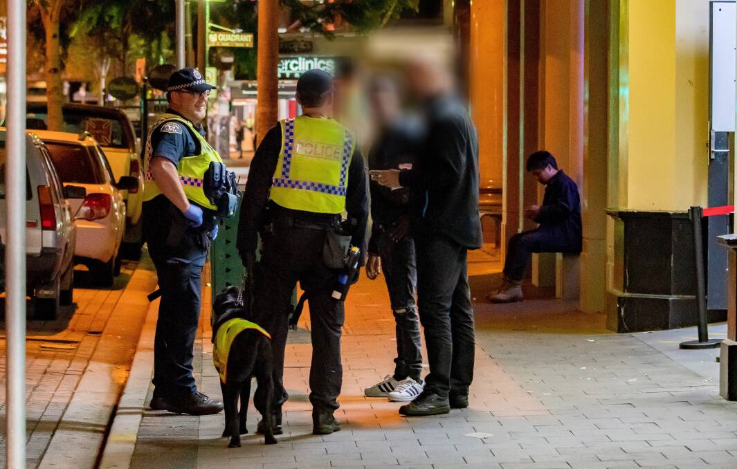 Constable Gavin Storay and Senior Constable Jareth Anderson out with Fang patrolling on a Saturday night in Launceston. Picture: Phillip Biggs