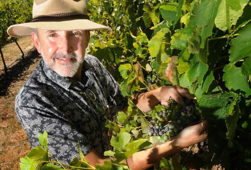 GUIDE TO THE GRAPES: Justin Byrne says there's plenty of Orange wines to consider enjoying this Christmas season. Photo: JUDE KEOGH