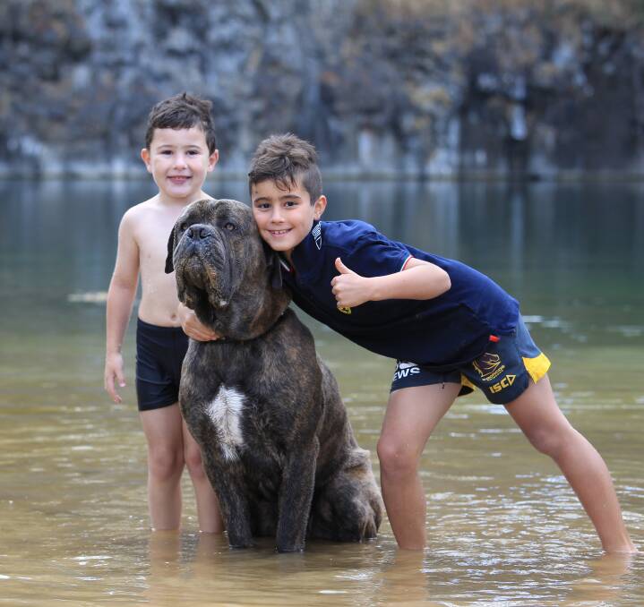 DOG DAYS: Zavier and Isaac Marvasti do their best to cool off with Tino on Friday. The city's pools and waterways should be just as popular in the coming week. Photo: PHIL BLATCH 0106pblake13