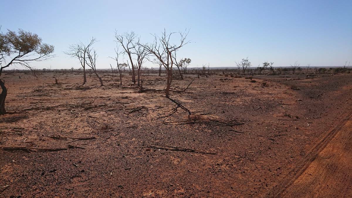 BARREN: NSW and other parts of Australia are currently in the grips of one of the worst droughts in the nation's history.