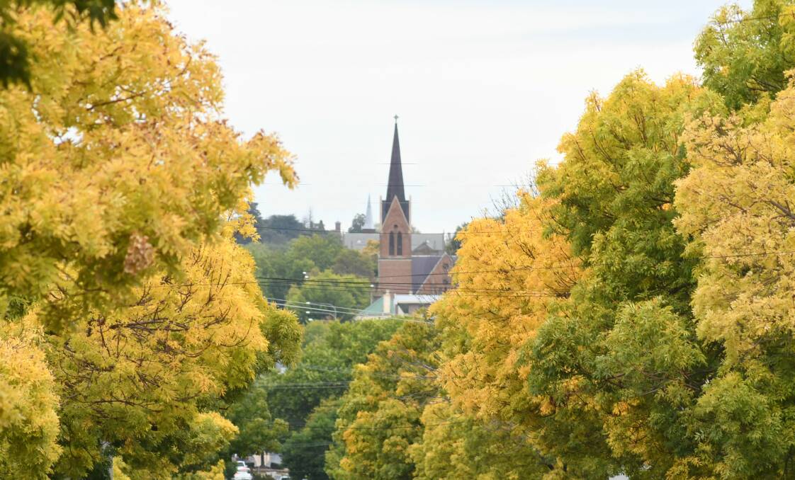 Images of the city's autumn shades by the Central Western Daily's Carla Freedman