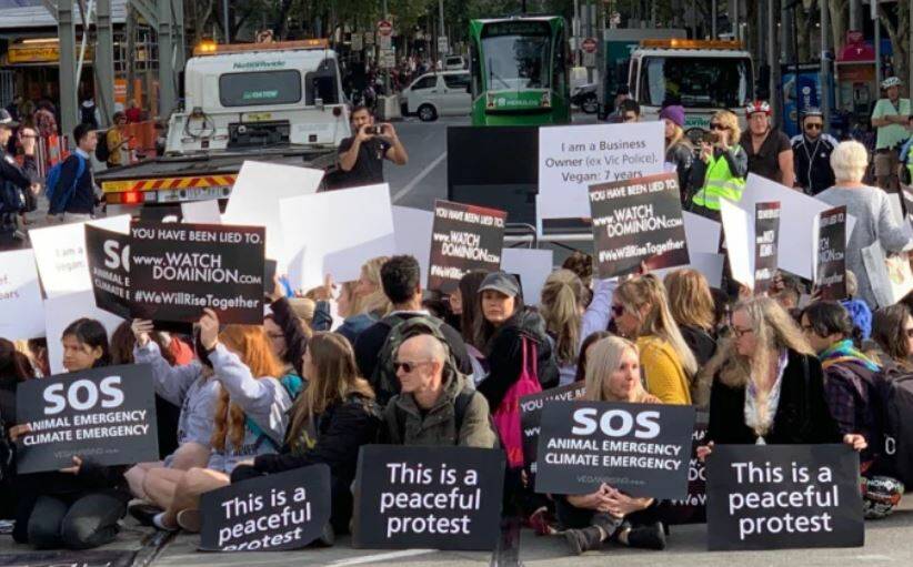WELL PUBLICISED: The vegan protesters in the streets of Melbourne.