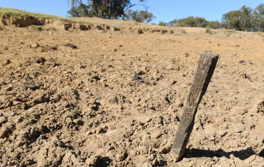PARCHED: Sadly for our farmers, the forecast rain on the weekend was not as bountiful as was hoped. Photo: DAILY LIBERAL