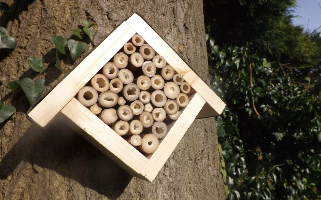 EASY AS: A bee hotel consists of a simple box, made from untreated hardwood filled with cylindrical objects of differing diameters.